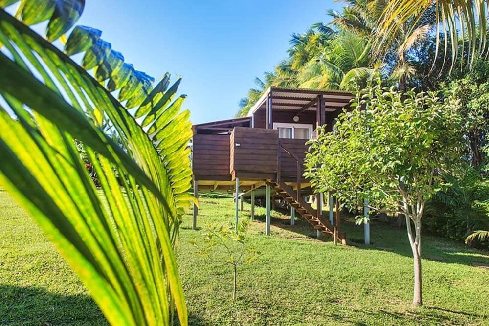 L'Escapade Creole Jacuzzi Privatif Bungalow Ananas Saint-Joseph Exteriér fotografie